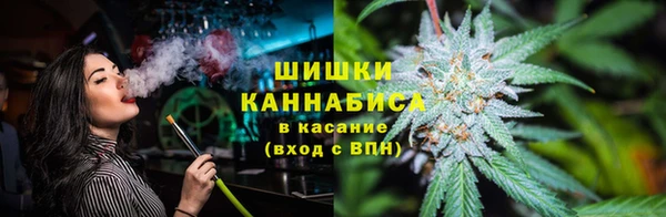 mdpv Козловка