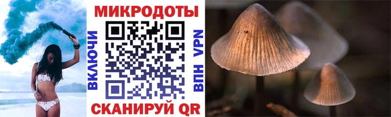 Купить закладки  Губкинский  Псилоцибиновые грибы Psilocybine cubensis 